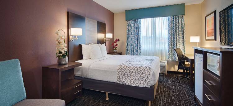 迈尔斯堡贝斯特韦斯特套房酒店(Best Western Fort Myers Inn  Suites)图片