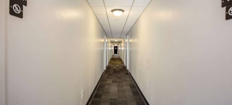 新泽西萨默斯点 - 大洋城 - 野木海滩 6 号汽车旅馆(Motel 6 Somers Point, NJ - Ocean City - Wild Wood Beach)图片