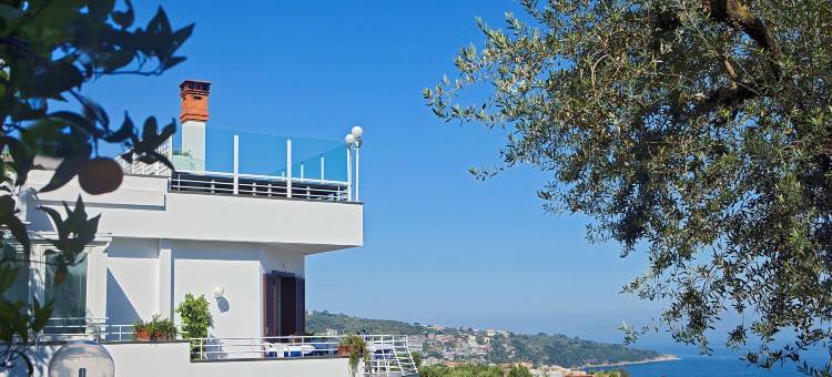 欧瑞安娜黎莱斯别墅酒店(Villa Oriana Relais)图片