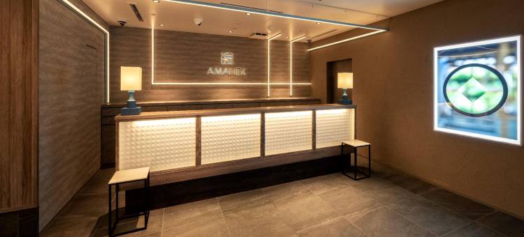 新宿歌舞伎町阿曼内克酒店(HOTEL AMANEK Shinjuku Kabukicho)图片