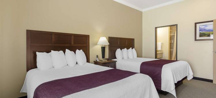 葡萄藤贝斯特韦斯特优质酒店(Best Western Plus Grapevine Inn)图片