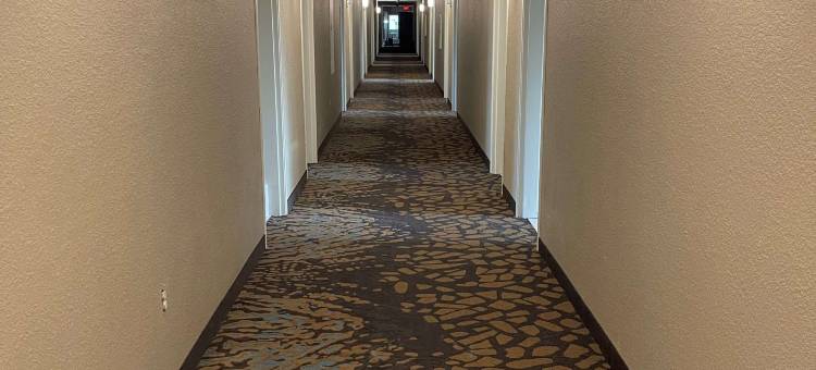 2024年新装修的德尔顿湖-威斯康星戴尔舒眠旅馆和套房(Sleep Inn & Suites)图片