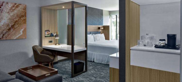 Marriott希尔顿海头岛SpringHill套房(SpringHill Suites Hilton Head Island)图片