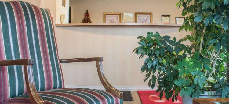 德威特 I-90 伊克诺旅馆(Econo Lodge Dewitt I-90)图片