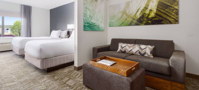 曼彻斯特-波士顿地区机场万豪SpringHill酒店(SpringHill Suites Manchester-Boston Regional Airport)图片