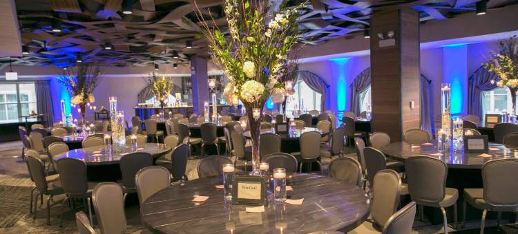 内珀维尔河滨英迪格酒店(Hotel Indigo Naperville Riverwalk)图片