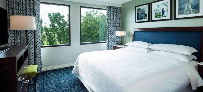 费城机场喜来登套房酒店(Sheraton Suites Philadelphia Airport)图片