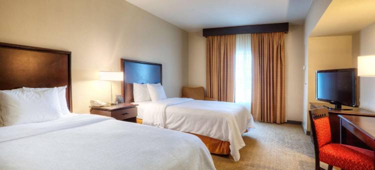 拉雷多希尔顿希尔顿安泊酒店(Embassy Suites by Hilton Laredo)图片