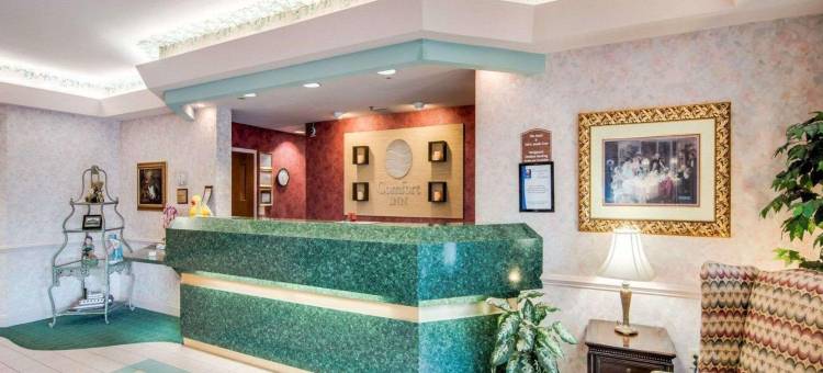 机场舒适酒店(Comfort Inn Airport)图片