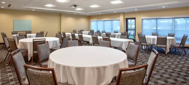 底特律贝尔维尔TownePlace Suites酒店(TownePlace Suites Detroit Belleville)图片