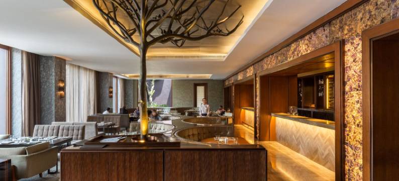 新德里粉红酒店(The Roseate)图片