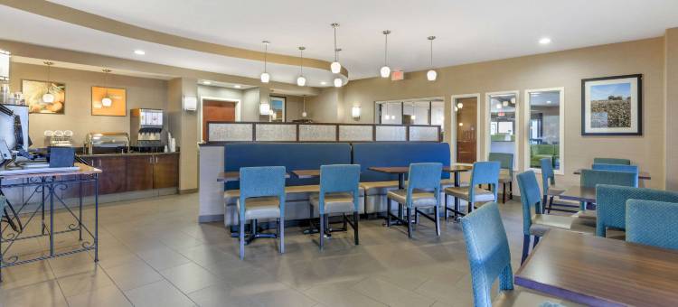 舒适套房酒店(Comfort Suites)图片