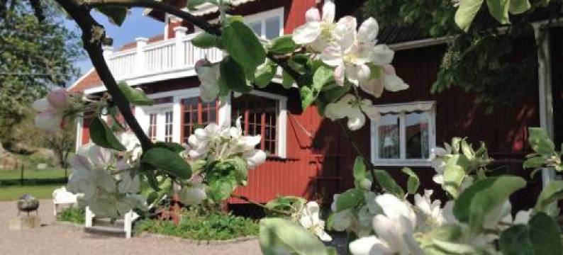 克罗科斯塔乡村民宿(Kroksta Gård)图片