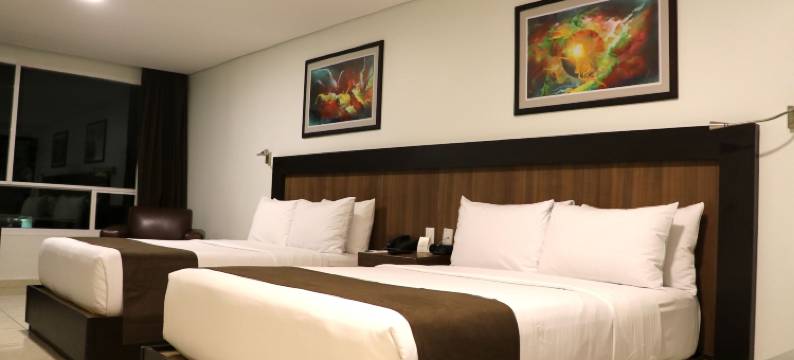 PF套房酒店(Hotel & Suites PF)图片