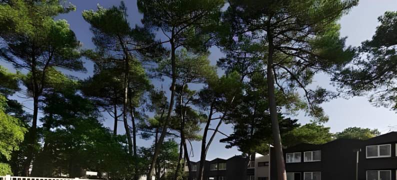 洛里昂公寓酒店(Lorient Résidence)图片