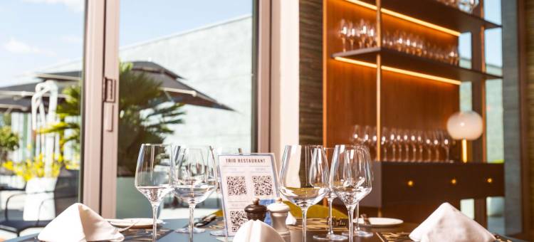 安塔那那利佛诺富特会议与水疗酒店(Novotel Convention & Spa Antananarivo)图片