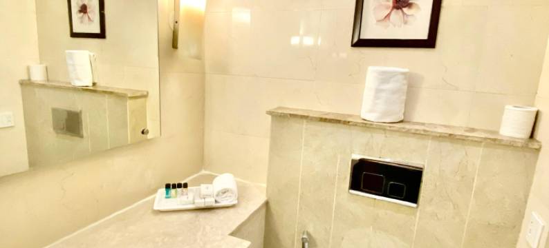 贾朗达尔国宾酒店(Ambassador Hotel Jalandhar)图片