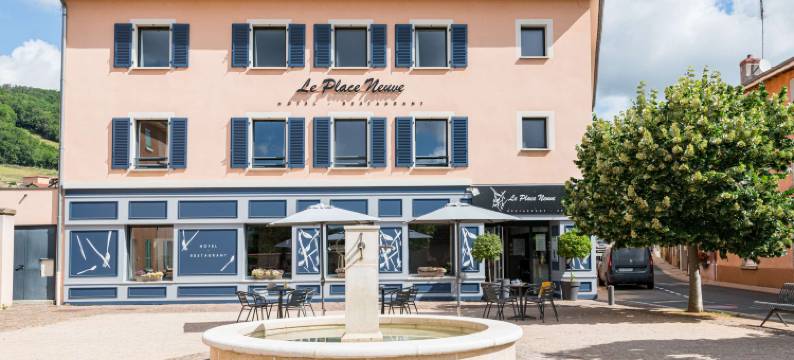 普拉斯诺威酒店(Le Place Neuve)图片