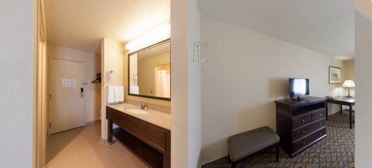 智选假日套房酒店芝加哥 - 利伯蒂维尔 by IHG(Holiday Inn Express & Suites Chicago-Libertyville)图片