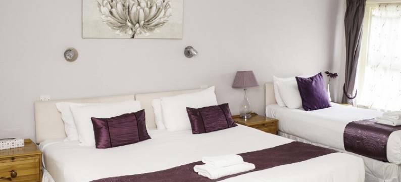 城堡酒店(The Castle Inn Hotel)图片