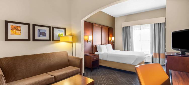 万塞讷舒适套房酒店(Comfort Suites)图片