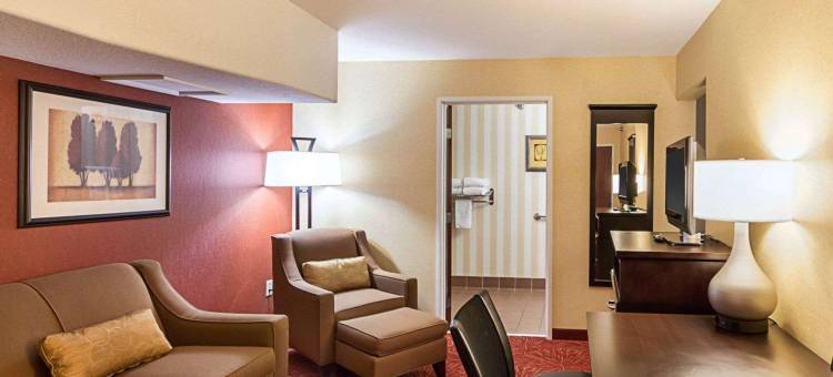 机场舒适套房酒店(Comfort Suites Airport)图片