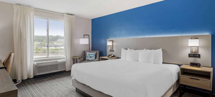 舒适酒店及套房科尔宾北部(Comfort Inn & Suites Corbin North)图片