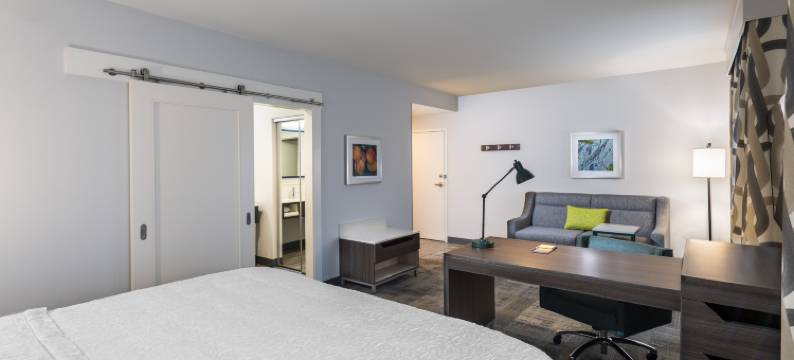 斯内尔维尔-亚特兰大东北希尔顿欢朋套房酒店(Hampton Inn & Suites Snellville Atlanta NE)图片