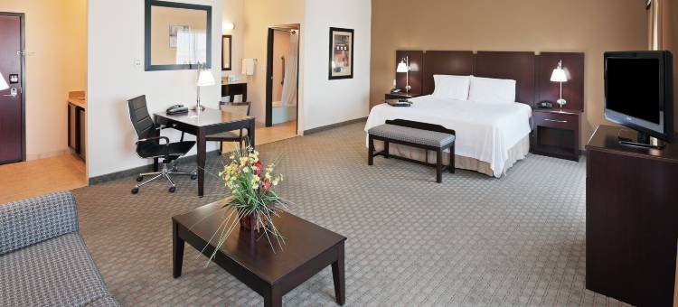 杜马斯希尔顿欢朋旅馆&套房酒店(Hampton Inn & Suites Dumas)图片