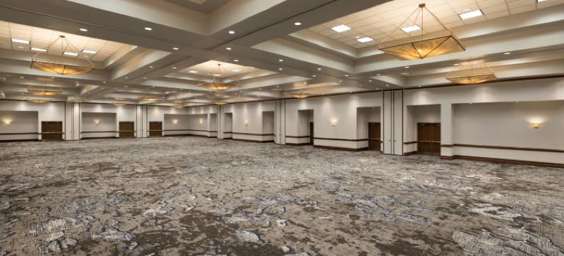 国际机场DFW北外界希尔顿安泊酒店(Embassy Suites by Hilton Grapevine DFW Airport North)图片