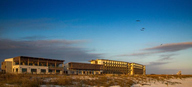 海湾州立公园酒店-希尔顿集团成员(The Lodge at Gulf State Park, a Hilton Hotel)图片
