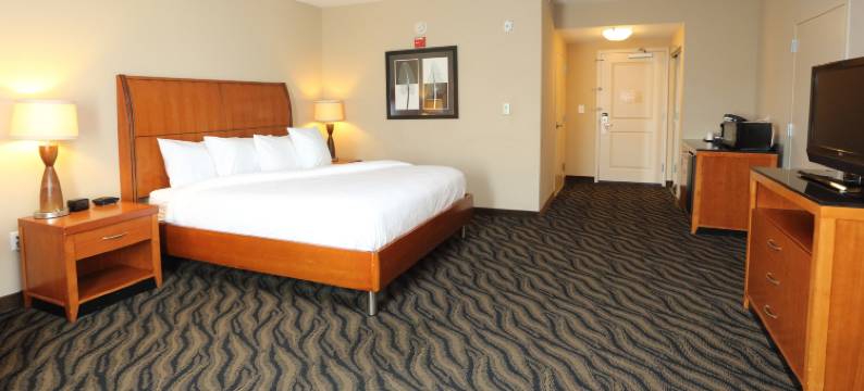 切萨皮克萨福克希尔顿花园酒店(Hilton Garden Inn Chesapeake/Suffolk)图片