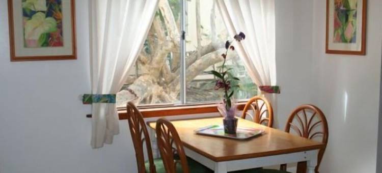 Beautiful Ocean/Beachfront Property and A Private Back Yard!  AC in both BDRMS!图片