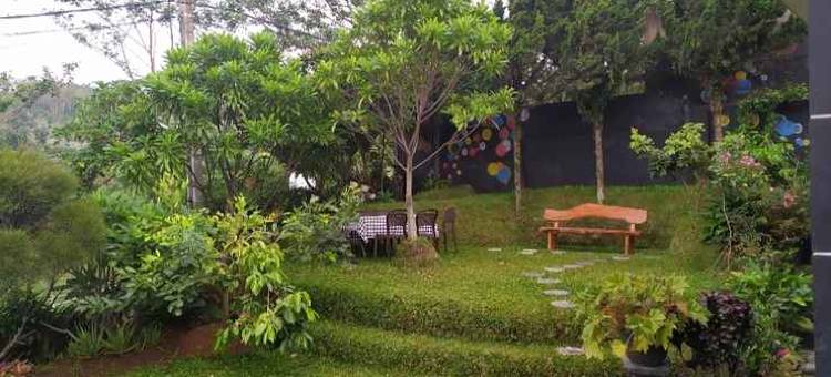 Villa Variz 2图片