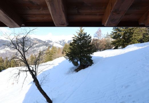 Luxury Apartment  Mountain Dream, Courchevel 1650Hotel Overview