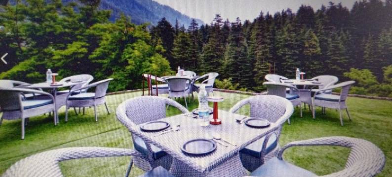 Rest N Ramble - Manali图片