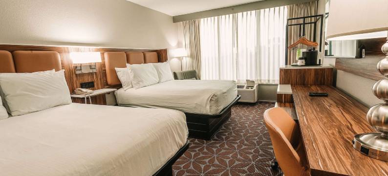 威廉斯堡布希花园区温德姆花园酒店(Wyndham Garden Williamsburg Busch Gardens Area)图片