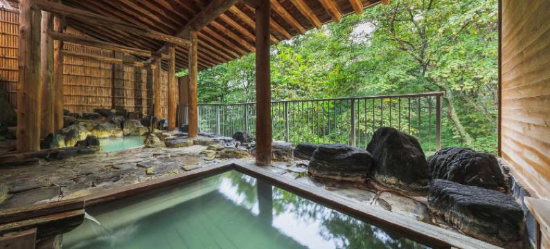 藏王温泉 ONSEN & STAY OAKHILL(名汤之宿 高见屋集团)(ONSEN & STAY OAKHILL)图片