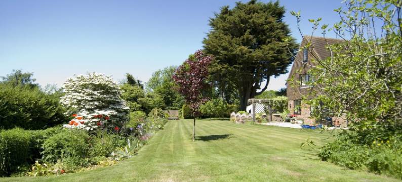 克雷福林16世纪乡村民宿(Cleavers Lyng 16th Century Country House)图片