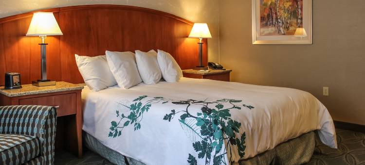 埃尔金斯蔚景温德姆酒店(Wingate by Wyndham Elkins)图片