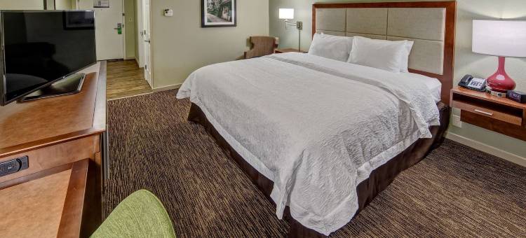 萨凡纳 - 95号州际公路 - 北欢朋酒店(Hampton Inn Savannah-I-95 North)图片