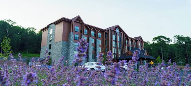 斯威夫特河旅馆(The Swiftwater)图片