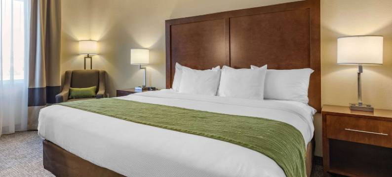 舒适套房酒店(Comfort Inn & Suites)图片