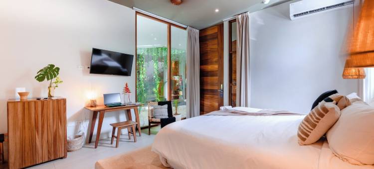 Agua de Luna精品酒店，圣潘乔纳亚里特(Agua de Luna Hotel Boutique, San Pancho Nayarit)图片