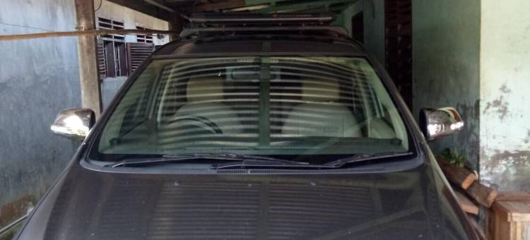 唐卡汉绿色小屋(Green Lodge Tangkahan)图片