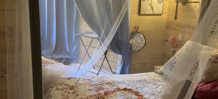 带按摩浴缸的难忘套房(La Suite Inoubliable Avec Jacuzzi)图片