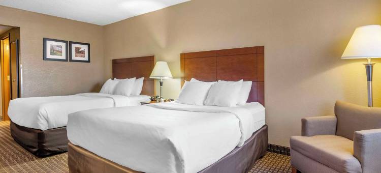 舒适套房酒店-拉芬列克星敦I-81和I-64附近(Comfort Inn & Suites Raphine - Lexington Near I-81 and I-64)图片