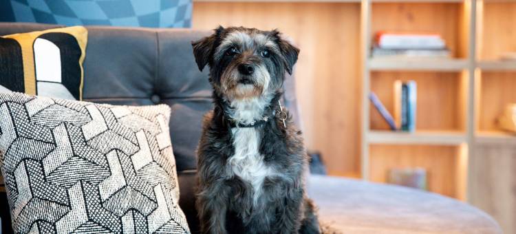 海牙MOXY酒店(Moxy the Hague)图片