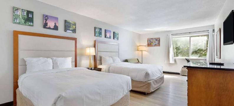 温德姆戴斯酒店伊利(Days Inn by Wyndham Erie)图片