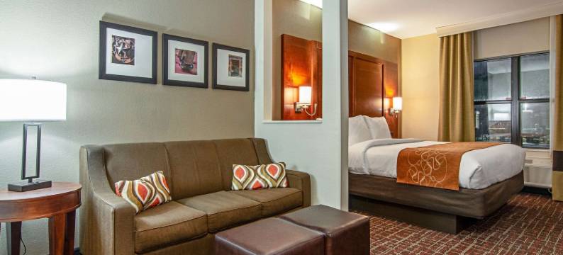 西北达拉斯爱田附近舒适全套房酒店(Comfort Suites NW Dallas Near Love Field)图片